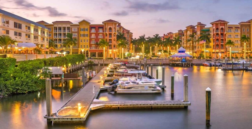 Concierge Medicine Tampa, Concierge Doctor In Tampa, Concierge Medical Practices Tampa Bay, South Tampa Doctor, Holistic Family Medicine