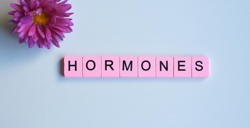 Balancing Hormones For Women, Women’s Health Doctor